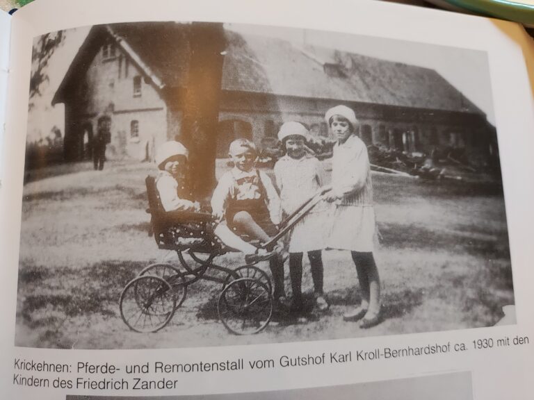 Gut Bernhardshof Pferdestall